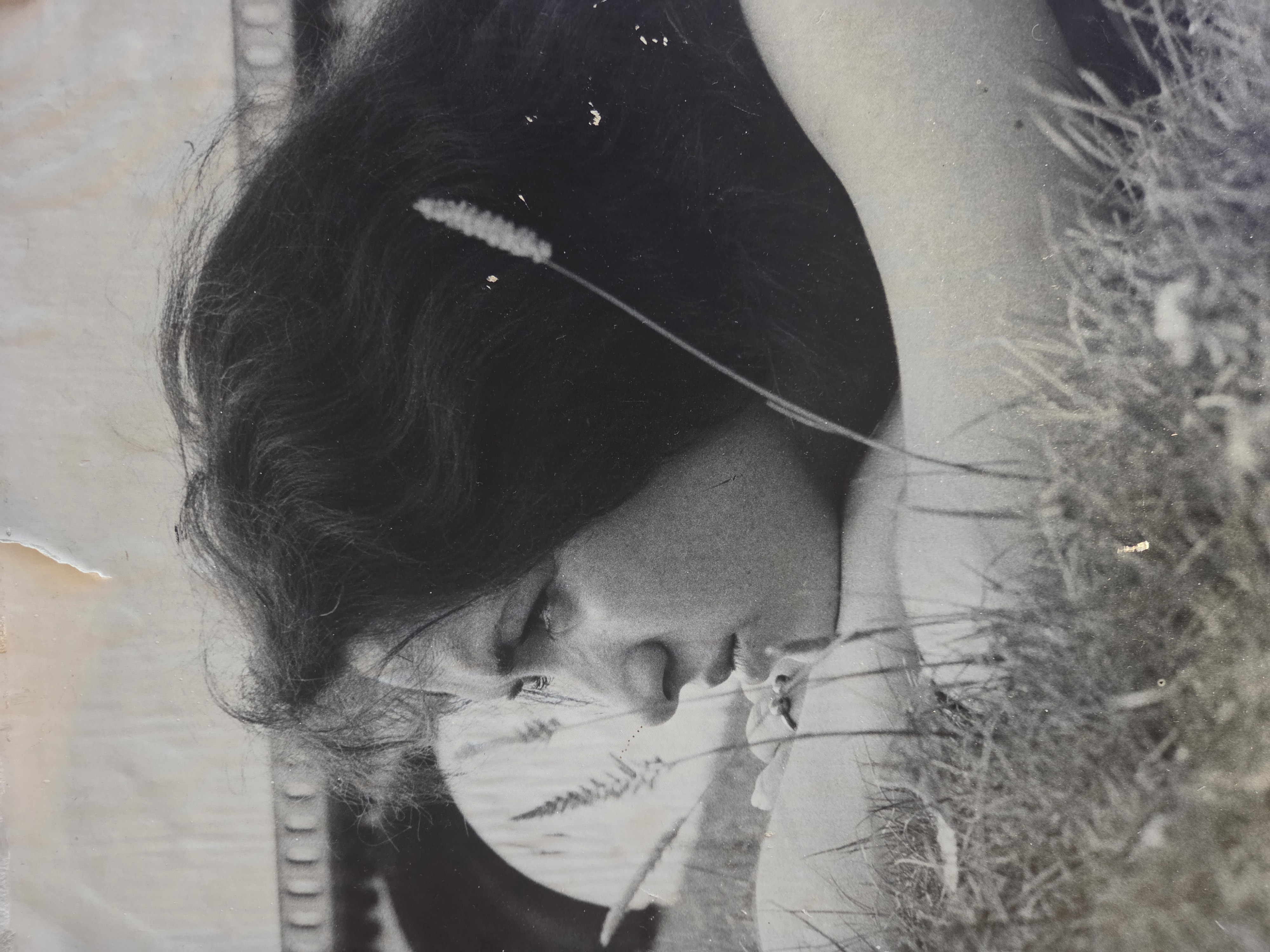 Maria do Céu Oliveira-Cabral